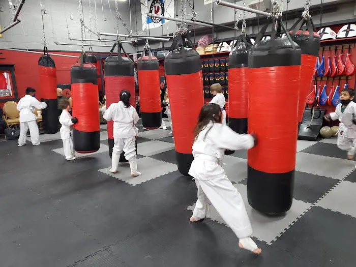 IKU Kyokushin Kai Karate LLC.(IKU) Picture 4