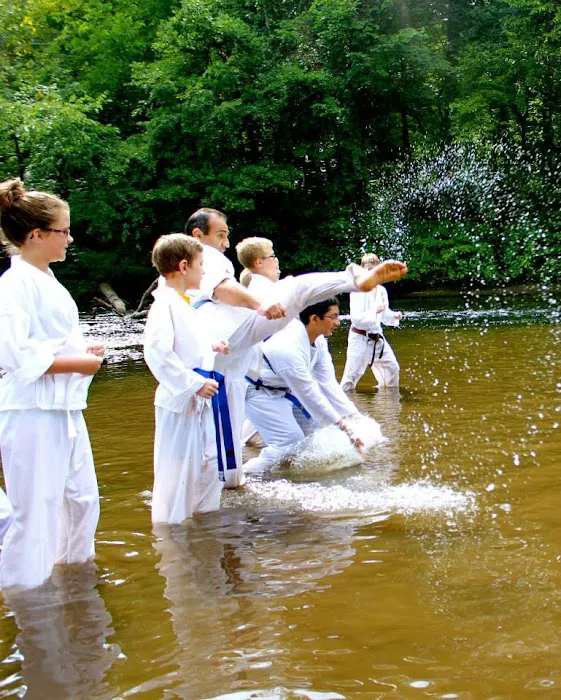 IKU Kyokushin Kai Karate LLC.(IKU) Picture 5