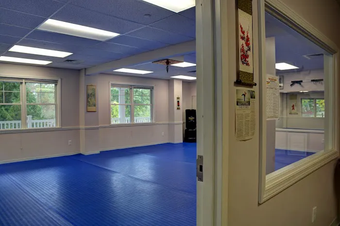 Villari's Martial Arts Center Picture 1