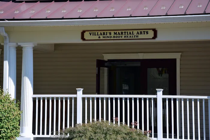 Villari's Martial Arts Center Picture 2