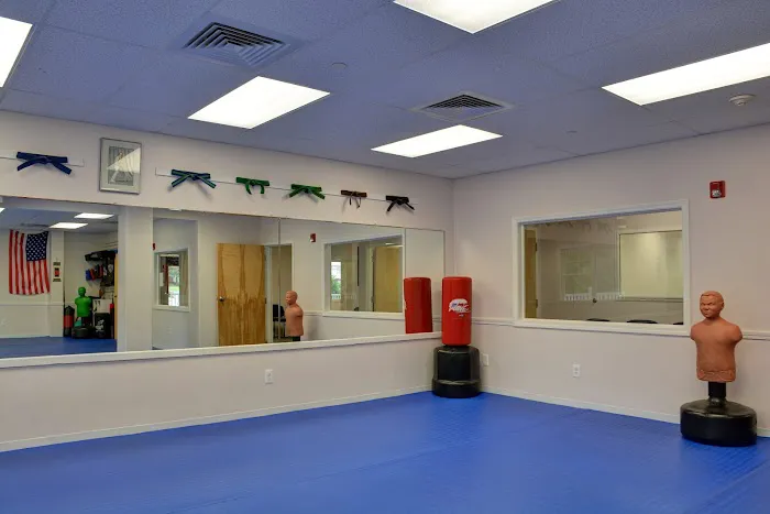 Villari's Martial Arts Center Picture 4