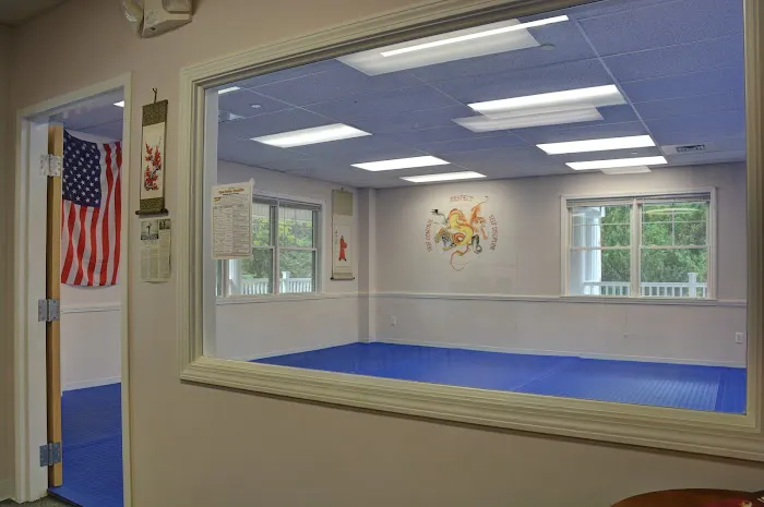 Villari's Martial Arts Center Picture 3