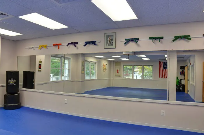 Villari's Martial Arts Center Picture 10