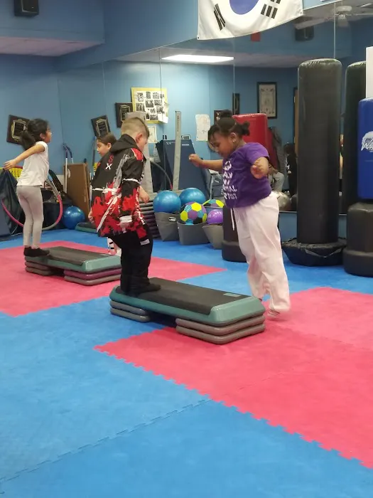 All Island Martial Arts Picture 2