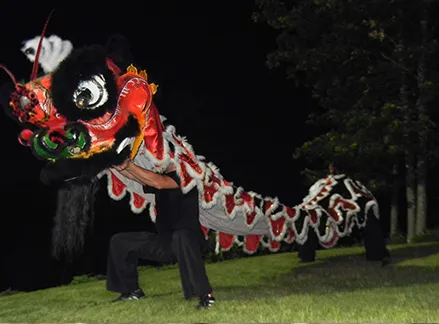 Hoi Fa Siu Lum Kung Fu Academy Picture 5