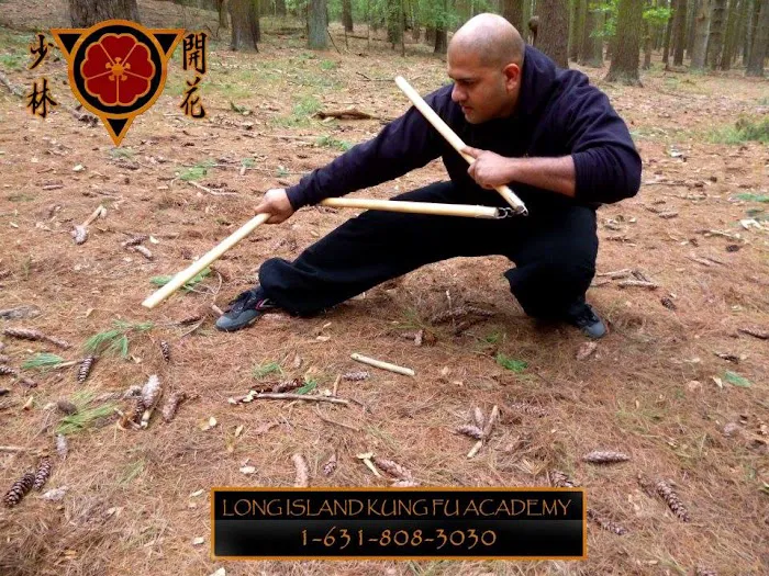 Hoi Fa Siu Lum Kung Fu Academy Picture 8