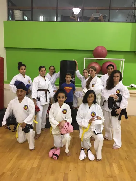 Martial Arts School Tae Kwon Do Karate Classes Picture 1