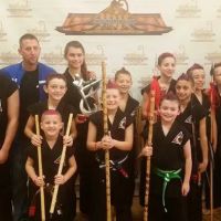 United Studios Progressive Martial Arts ico