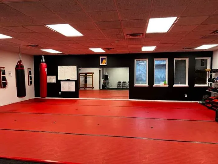 Upstate Center For Martial Arts Picture 1