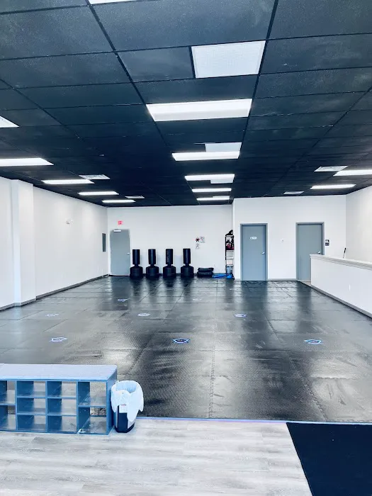 Volt Martial Arts Picture 2