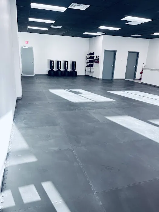 Volt Martial Arts Picture 4