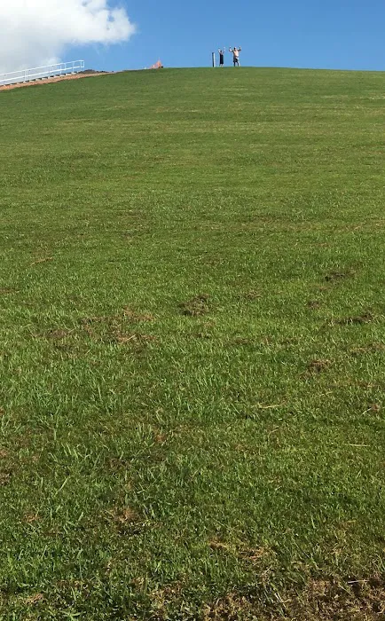 Empire Defense & Fitness Inc Picture 6