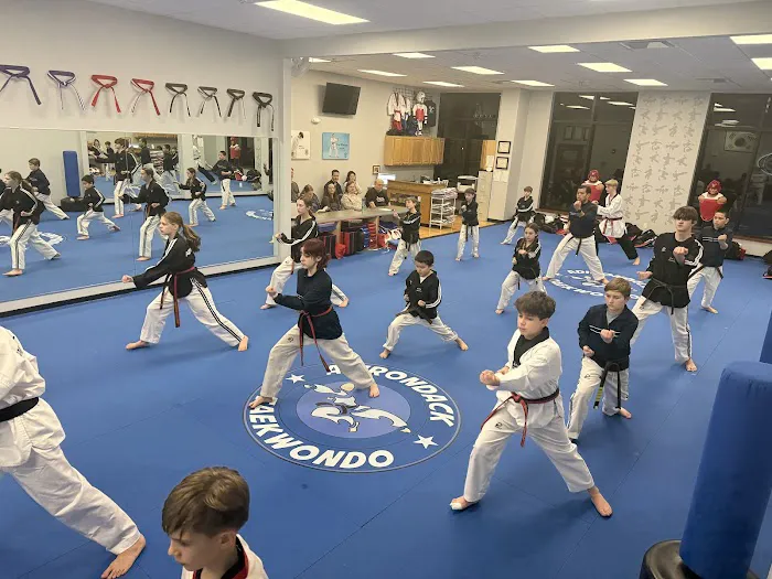 Adirondack Taekwondo & Fitness Center, Inc Picture 8