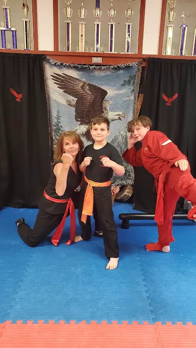 Pentjak Karate Picture 4