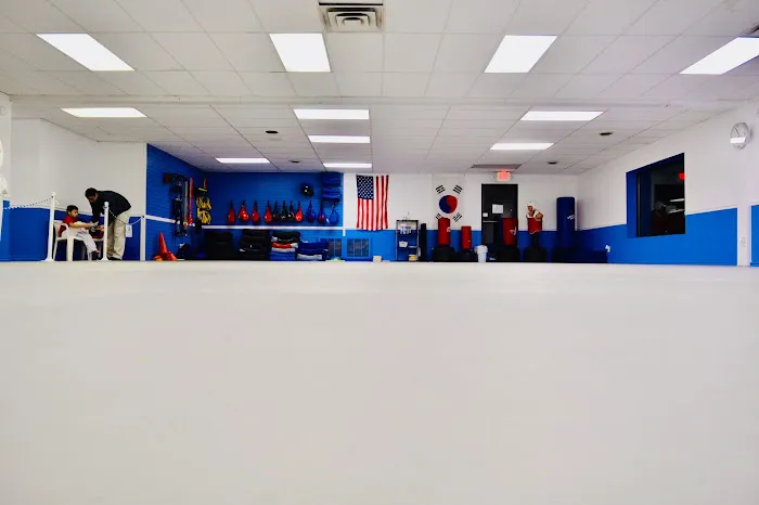 Volt Martial Arts-Glenville Picture 7