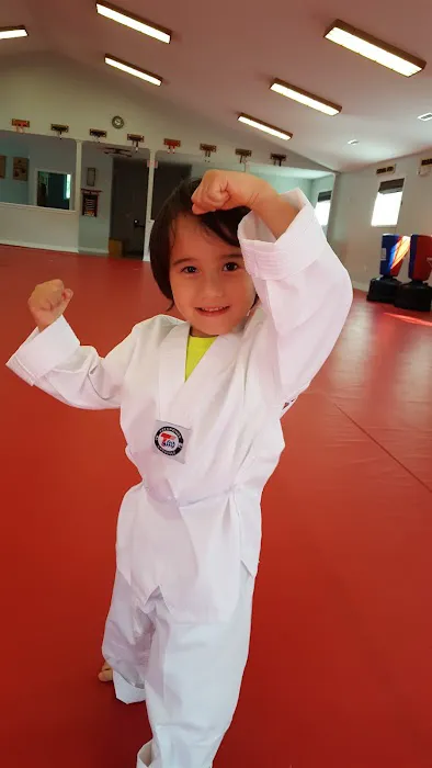 Chong Hyo Century Tae Kwon Do Picture 1