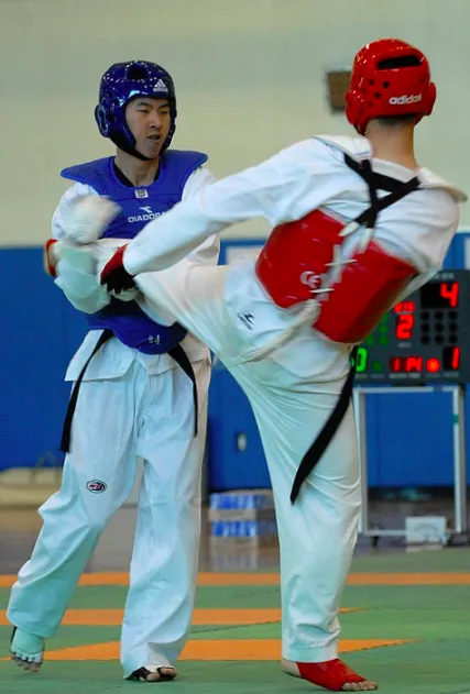 Risen Taekwondo, LLC Picture 6