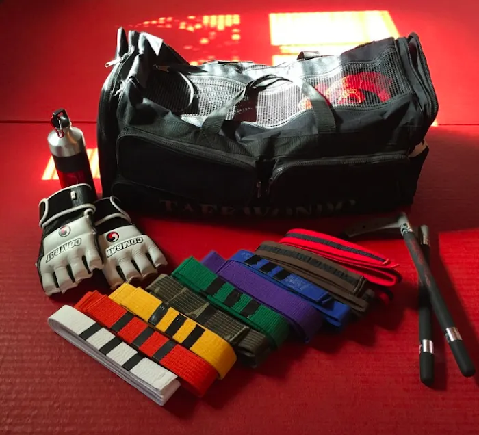 Risen Taekwondo, LLC Picture 8