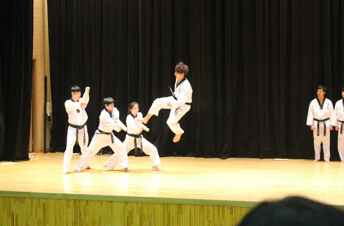 Risen Taekwondo, LLC Picture 9