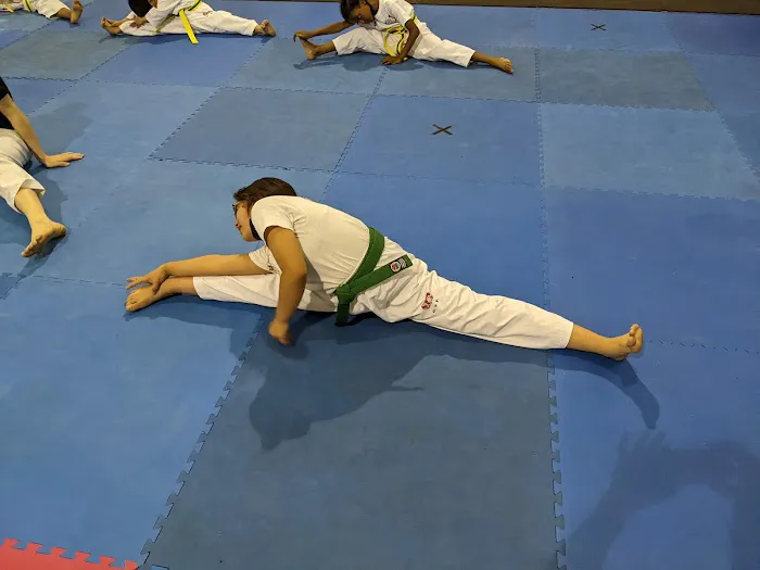 Global Taekwondo Center Picture 5