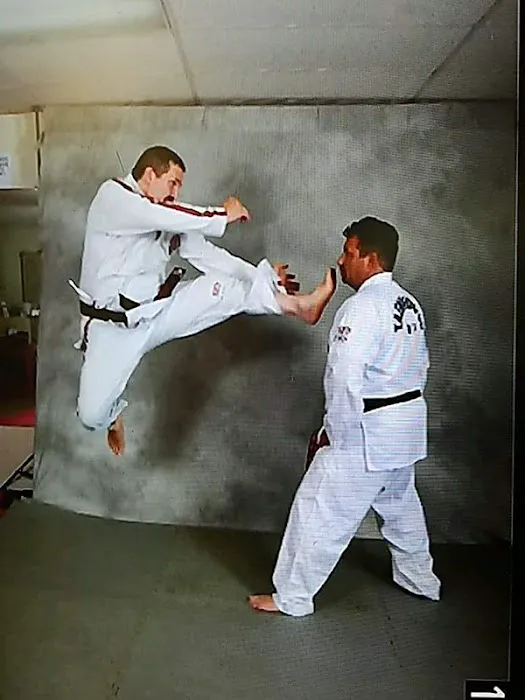 Global Taekwondo Center Picture 4