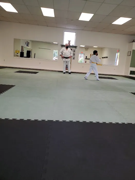 Odyssey Karate Picture 1