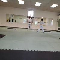 Odyssey Karate ico
