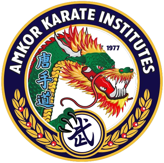 AmKor Karate of Coatesville Picture 8