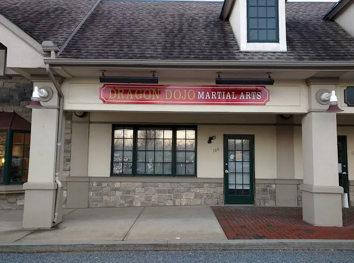 Delaware Dragon Martial Arts Picture 5