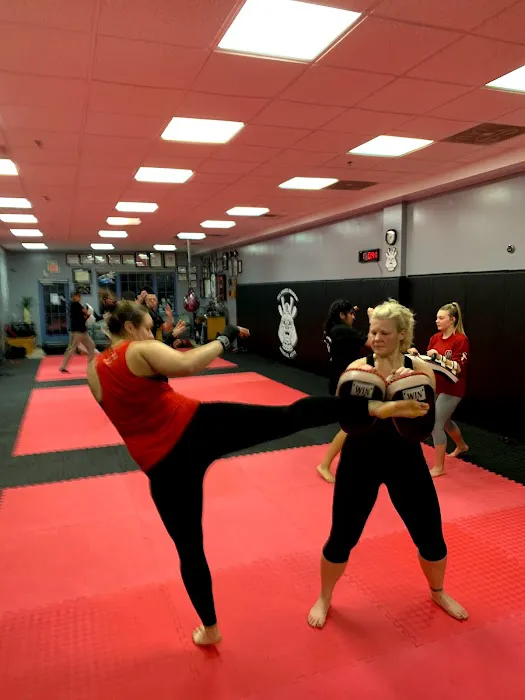 Delaware Dragon Martial Arts Picture 1