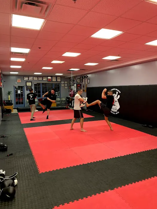 Delaware Dragon Martial Arts Picture 8