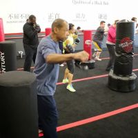 American Martial Arts Institute ico