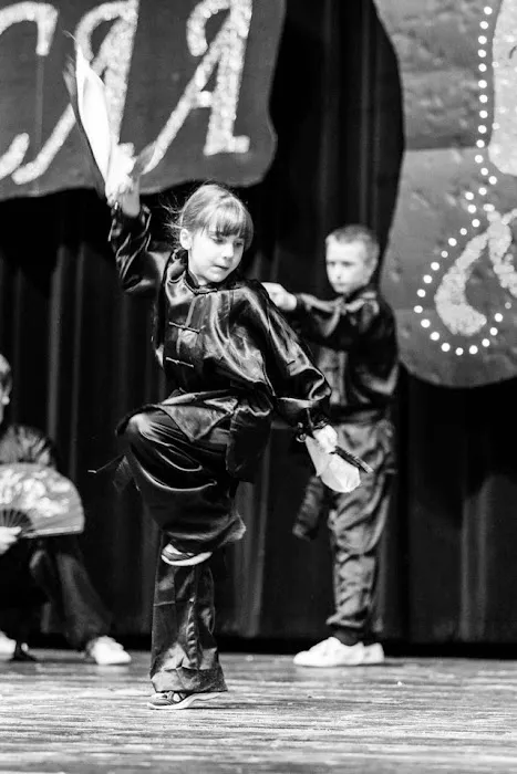 American Martial Arts Institute Picture 6