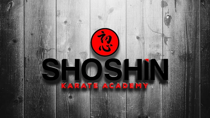 Shoshin Karate Academy Picture 6