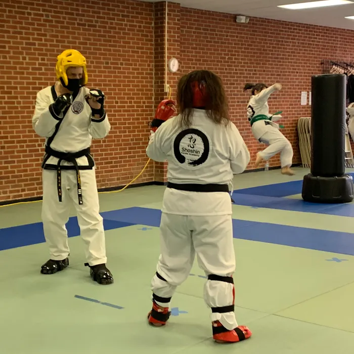 Shoshin Karate Academy Picture 8