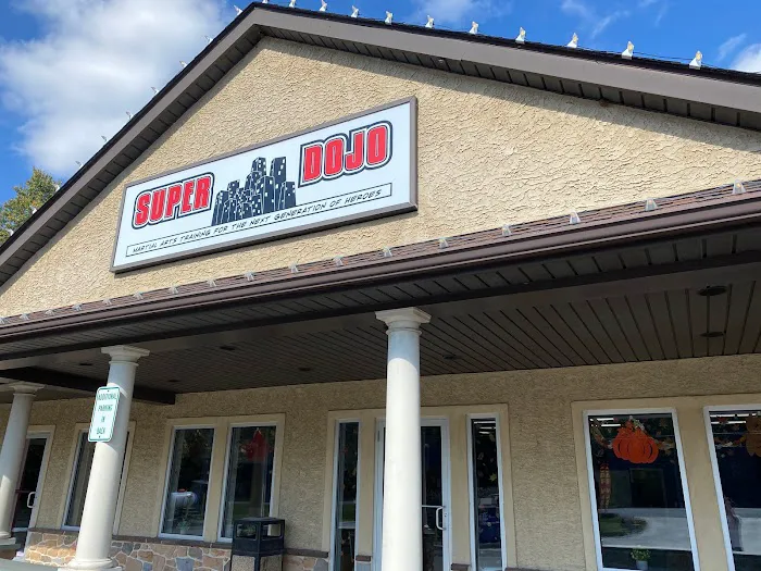 Superdojo Martial Arts Picture 2