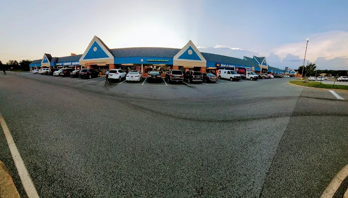 Premier Martial Arts Bear Picture 4