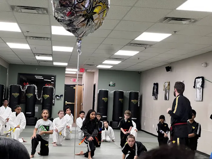 Premier Martial Arts Bear Picture 7