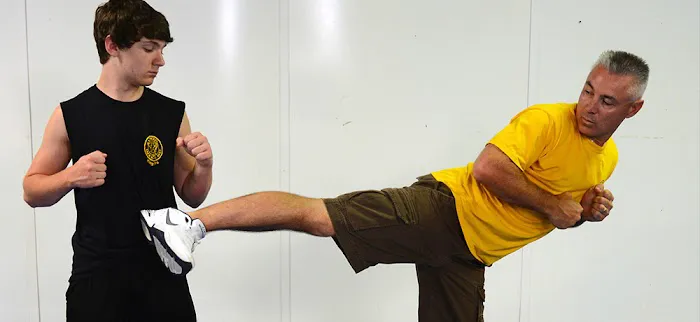 Hapkido Tae Kwon Do Institute, Inc. Picture 4