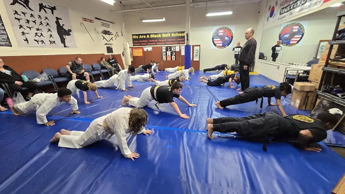 Hapkido Tae Kwon Do Institute, Inc. Picture 7