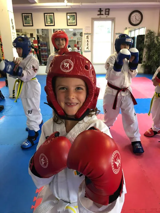 Advantage Taekwon-Do Picture 4