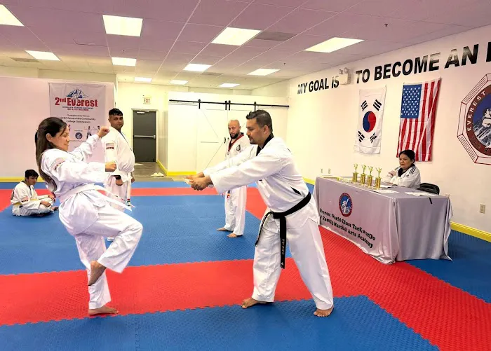 Everest World Class TaekwonDo Lancaster Picture 3