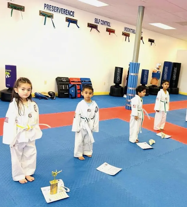 Everest World Class TaekwonDo Lancaster Picture 6