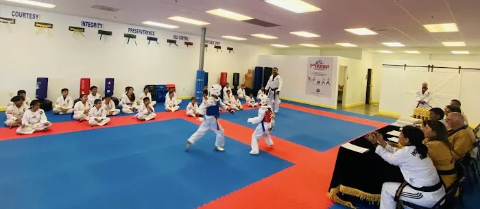 Everest World Class TaekwonDo Lancaster Picture 4