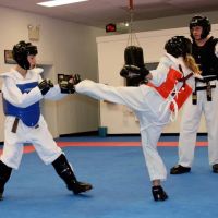 Kim Studio Of Tae Kwon Do ico