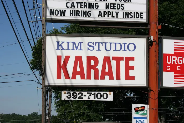 Kim Studio Of Tae Kwon Do Picture 4