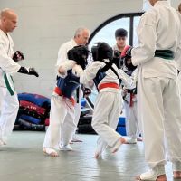 Salerni Dojo Kyokushin Karate LLC ico