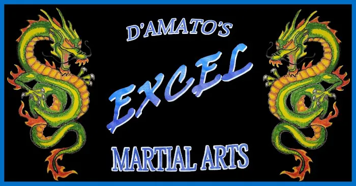 D'Amato's Excel Martial Arts Picture 1