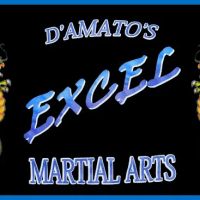 D'Amato's Excel Martial Arts ico