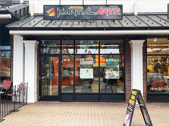 SDSS Martial Arts of West Hartford Picture 2